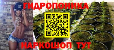 a pvp Бугуруслан